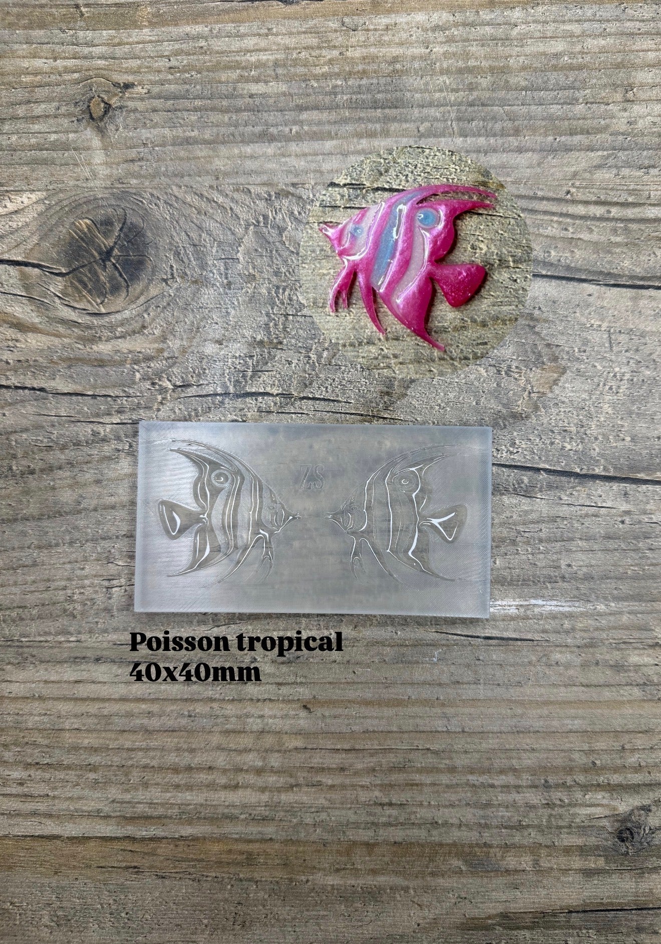 Moule Poisson Tropical