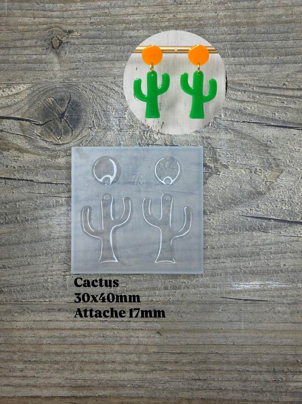 Moule Cactus