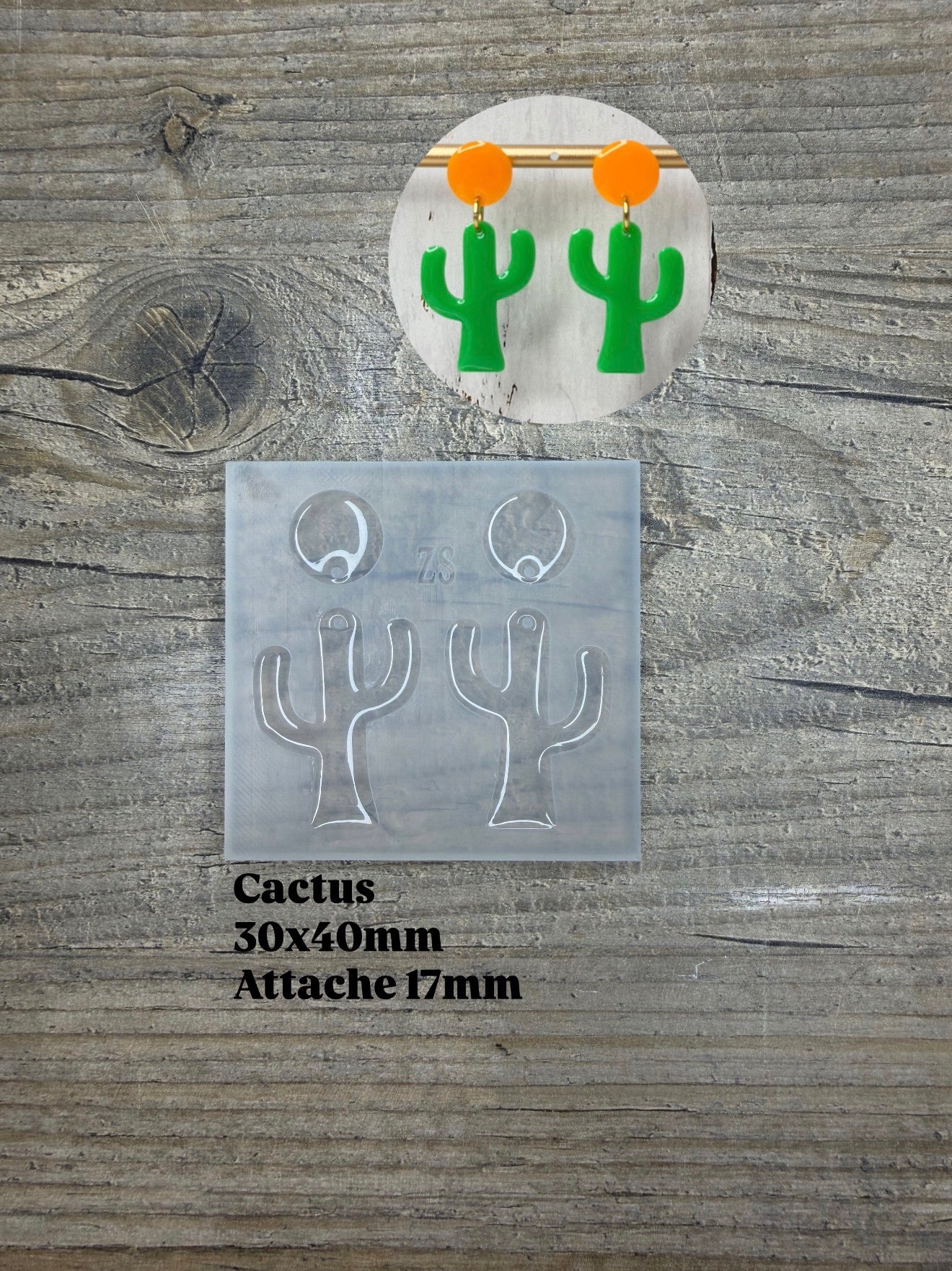 Moule Cactus