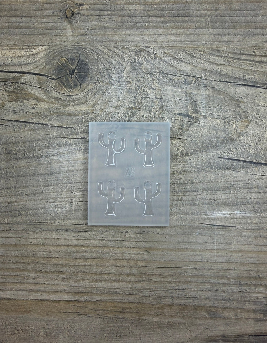 Moule Cactus