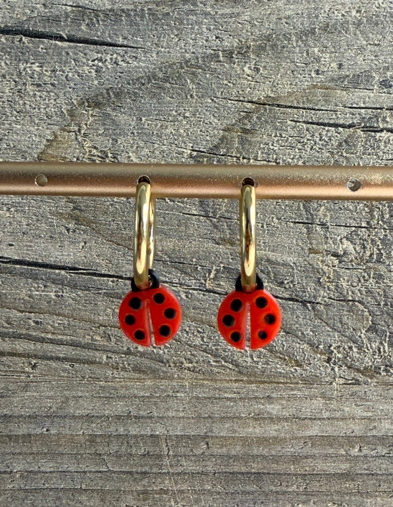 Moule Coccinelle