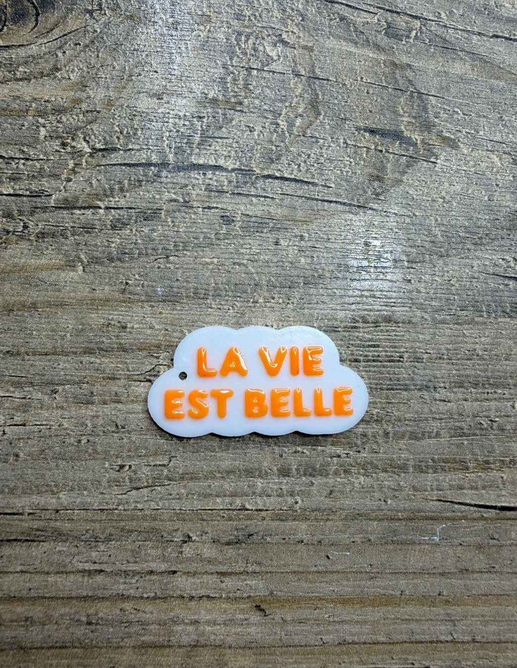 Moule Mot La vie est belle