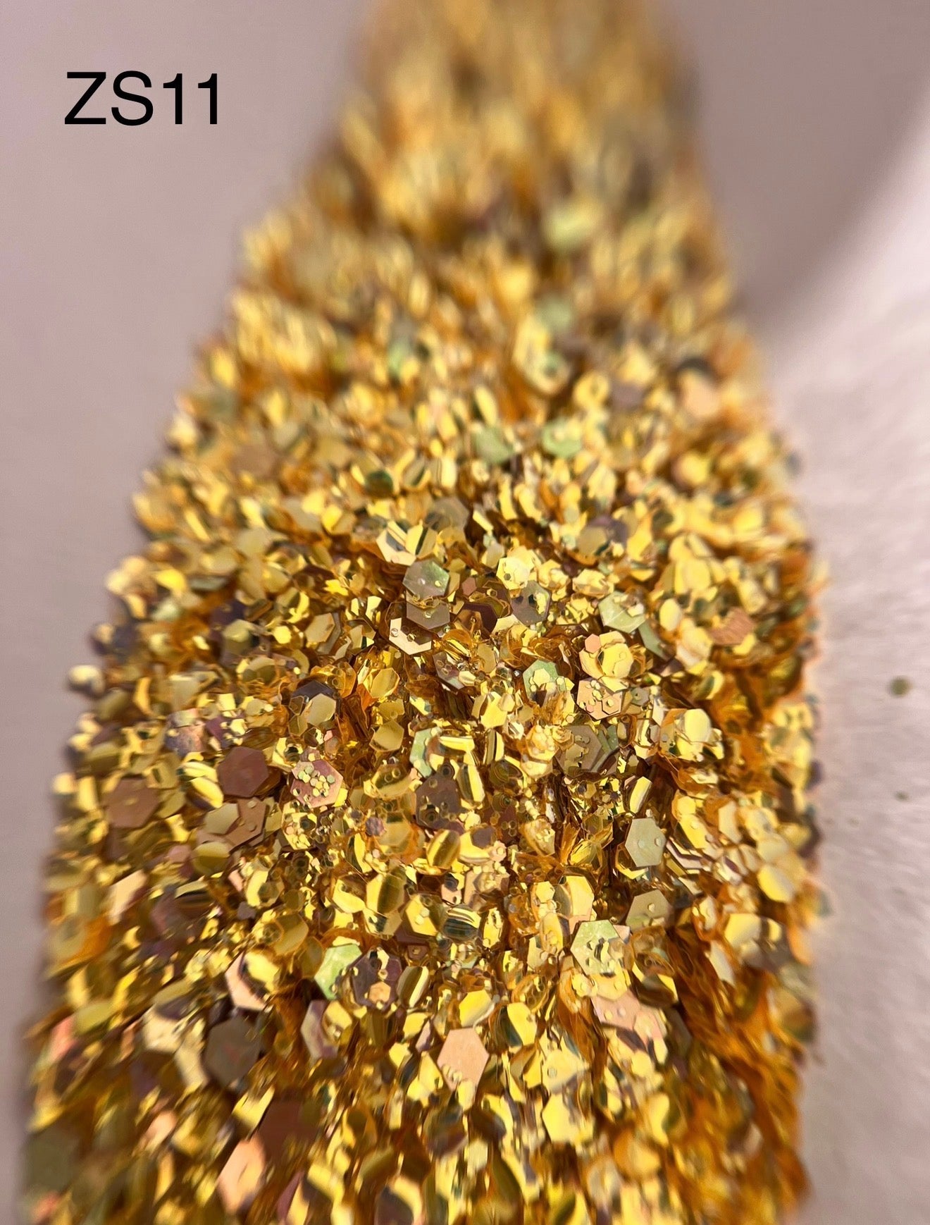Paillettes Holographiques ZS11