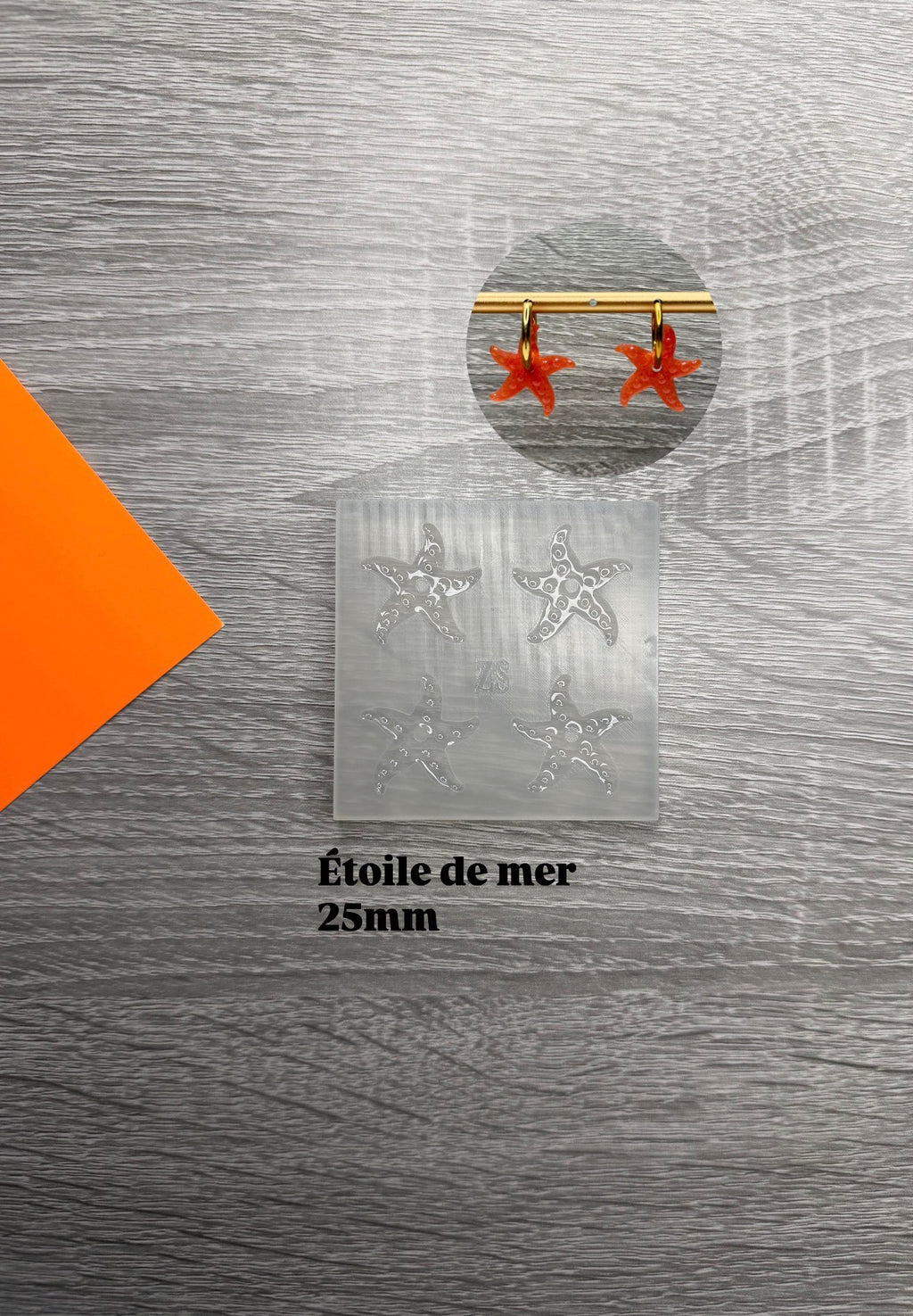 Etoile de mer texturé