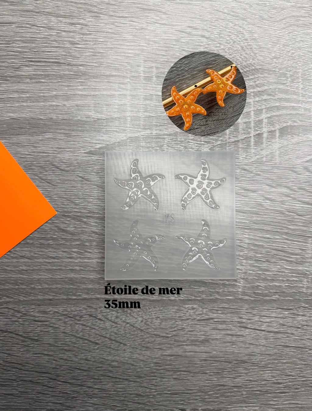 Etoile de mer texturé