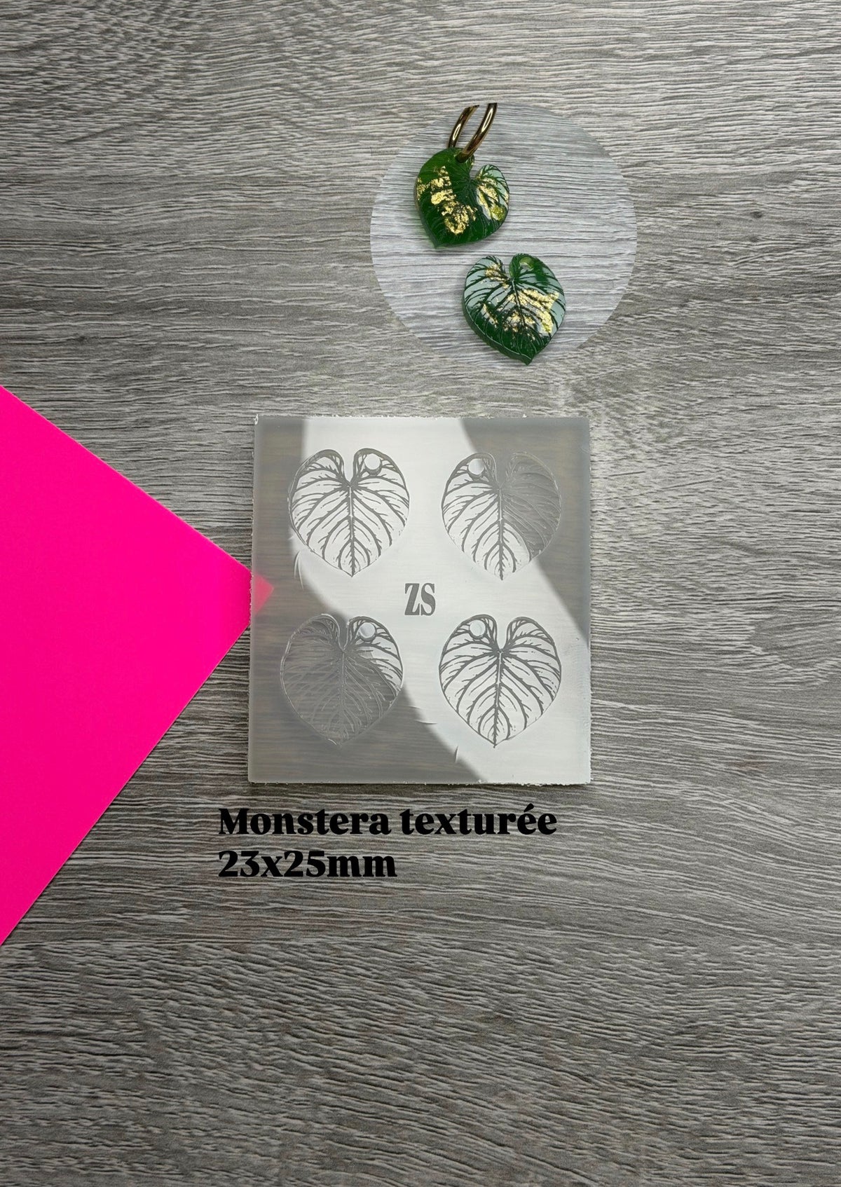 Monstera Texturé