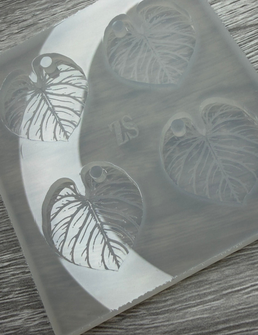 Monstera Texturé