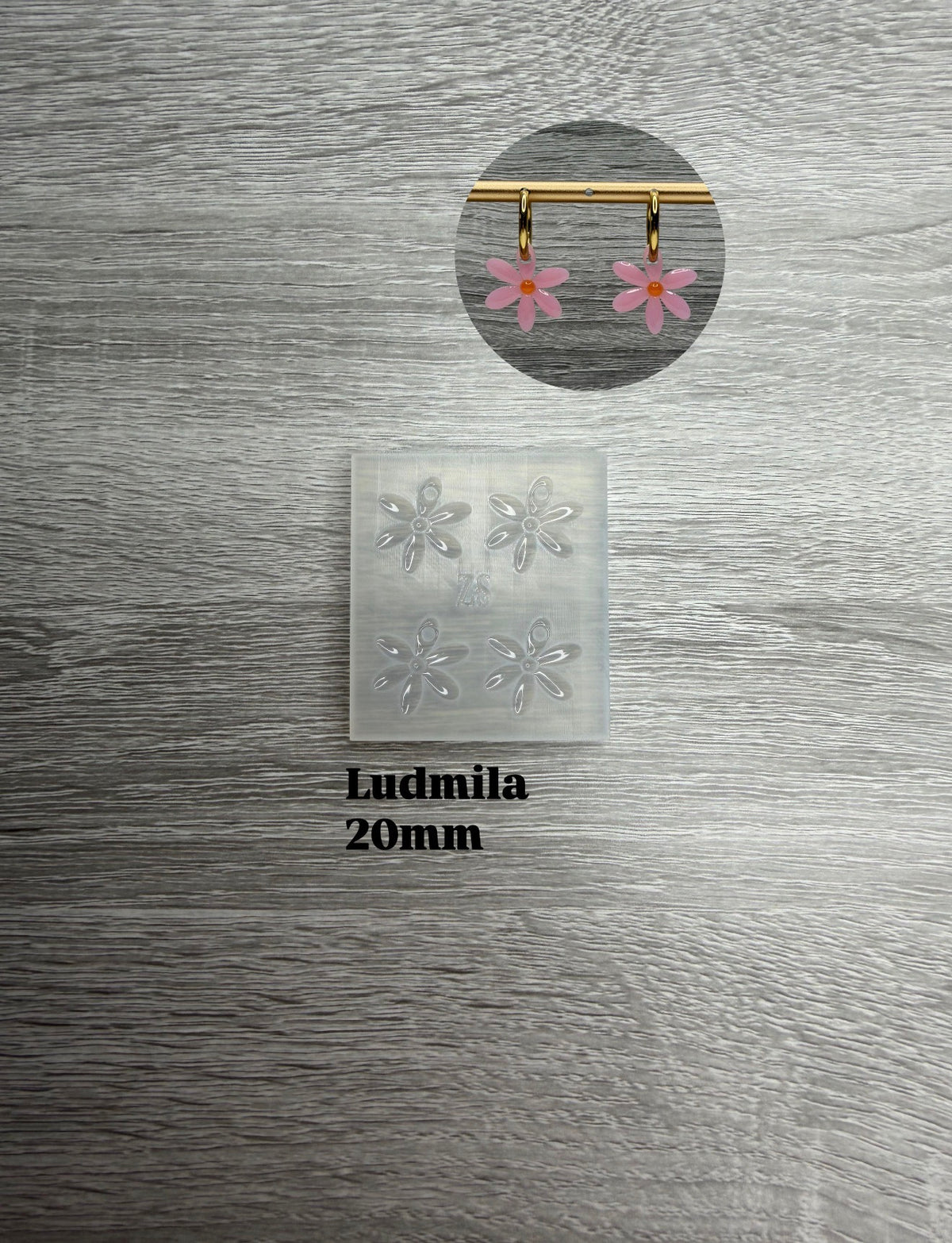 Ludmila