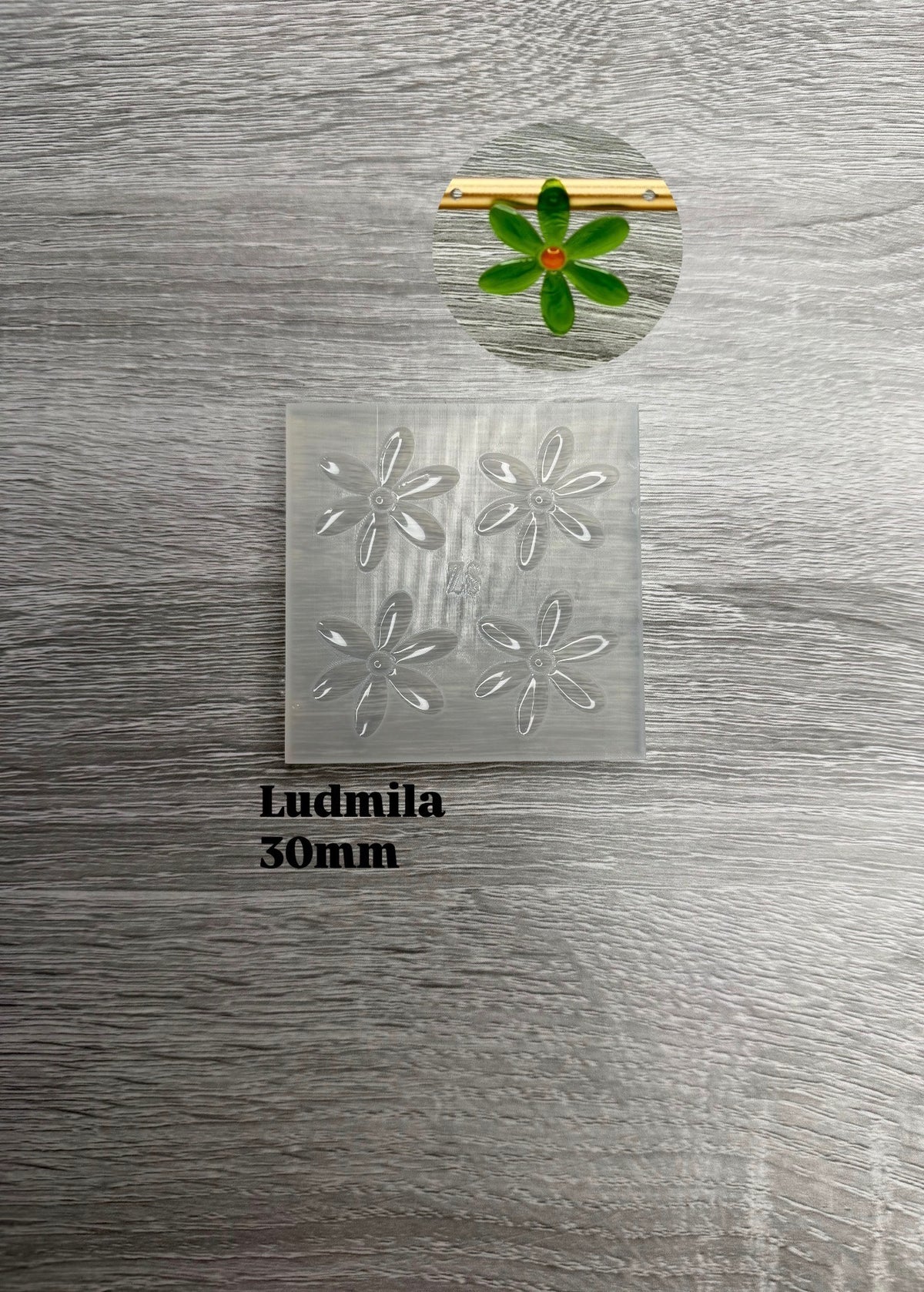 Ludmila