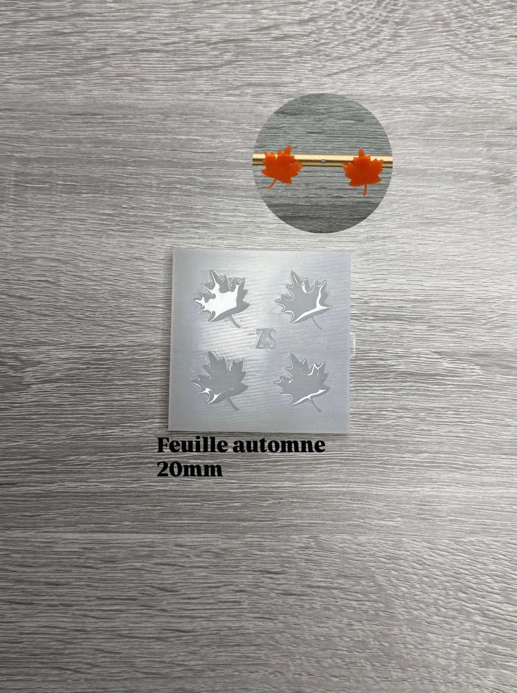 Feuille automne