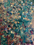 Paillettes Holographiques BS324