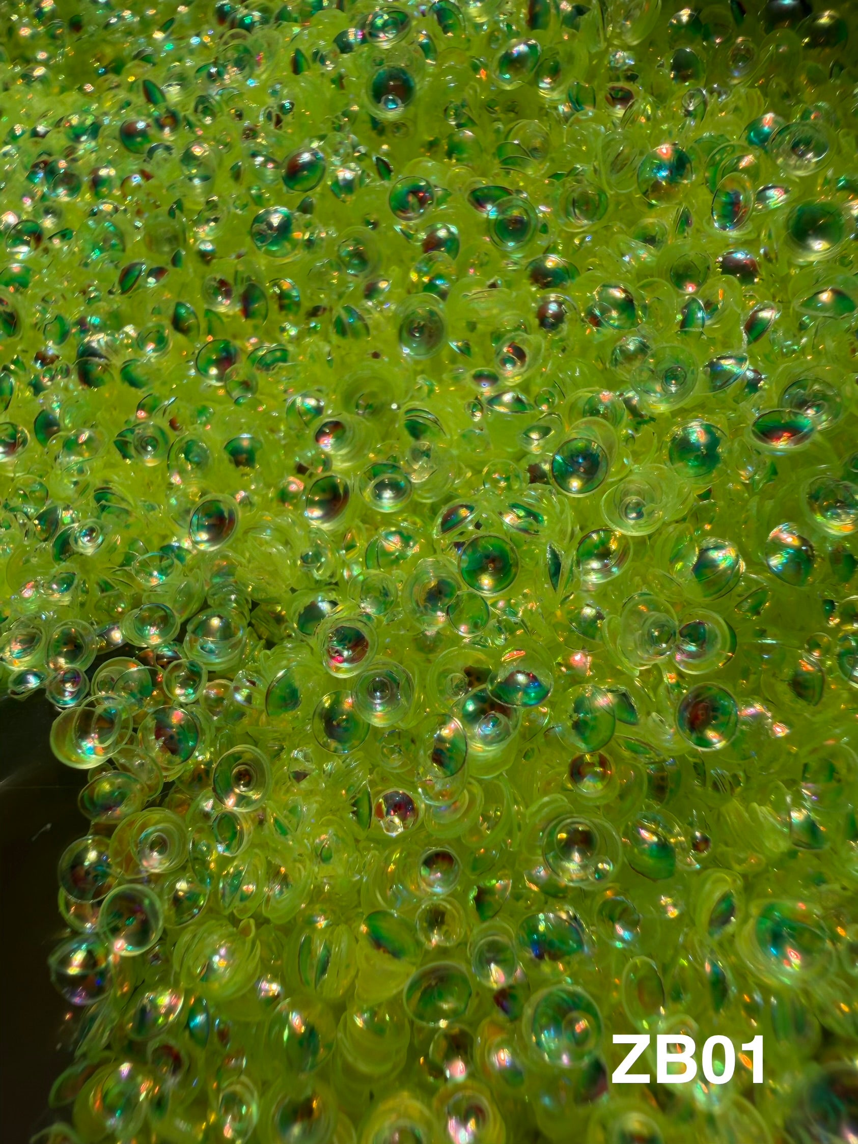 Paillettes Holographiques ZB01