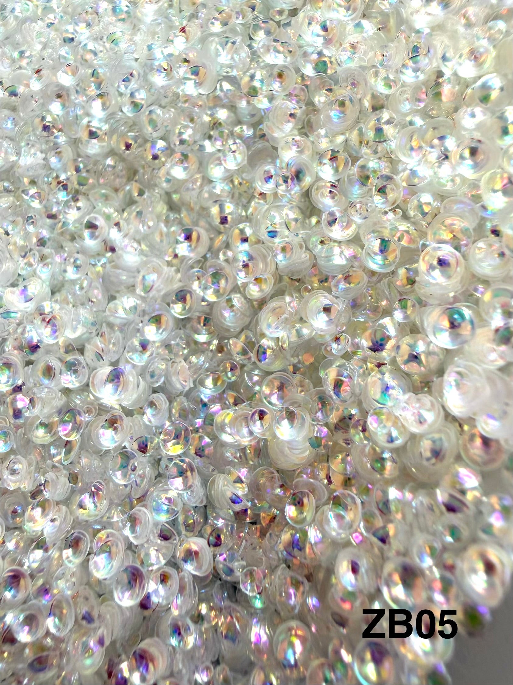 Paillettes Holographiques ZB05