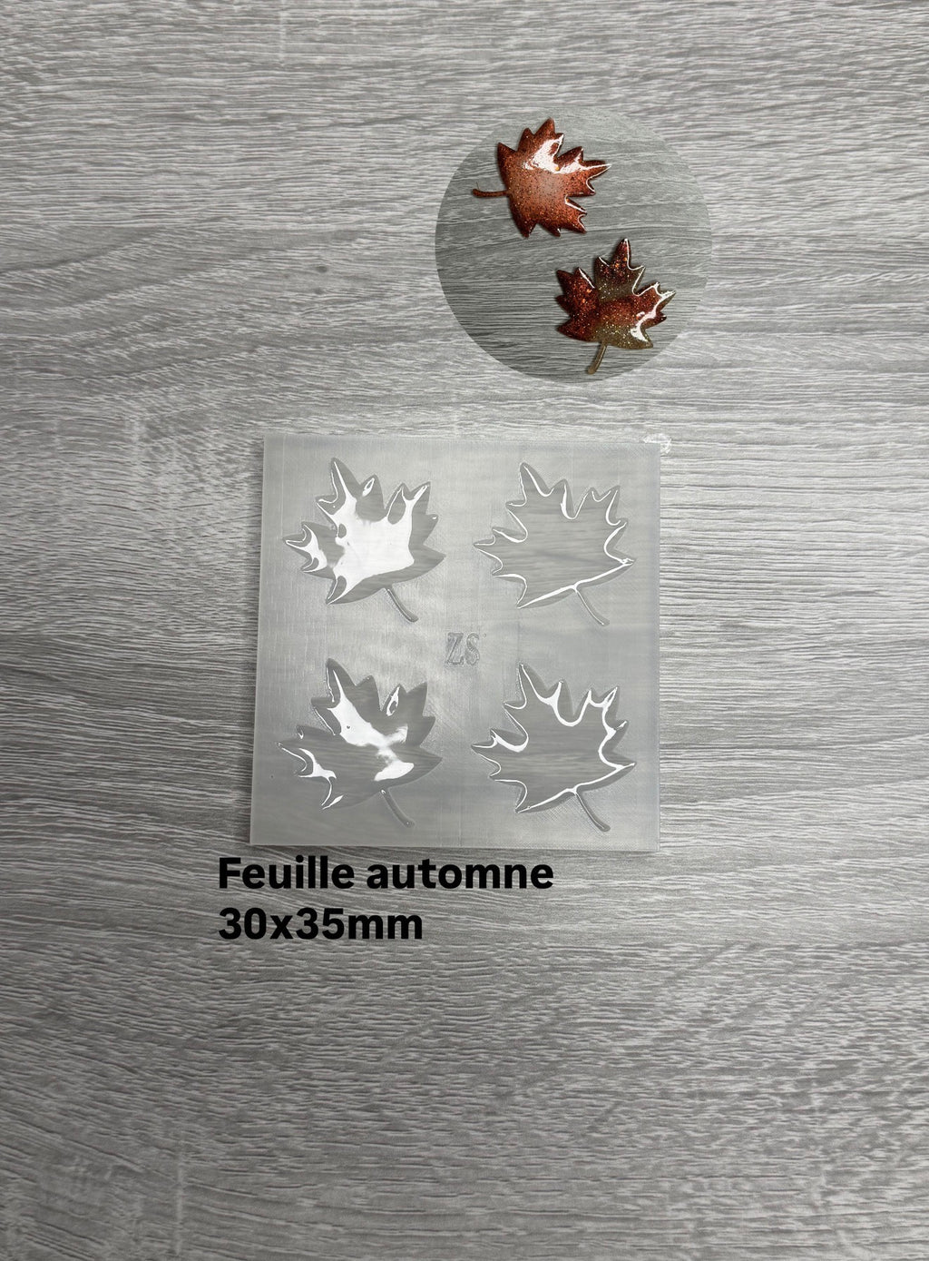Feuille automne