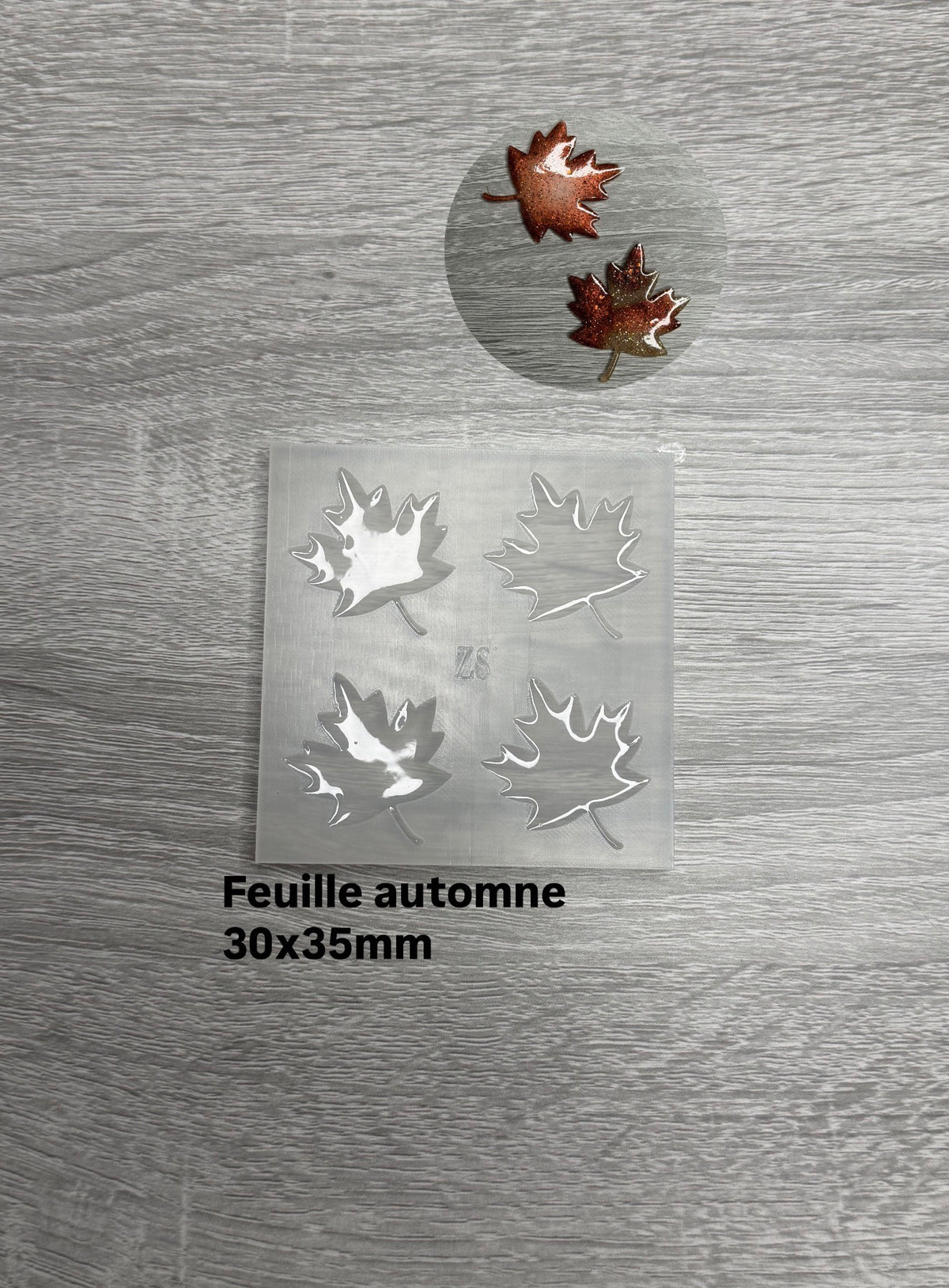 Feuille automne