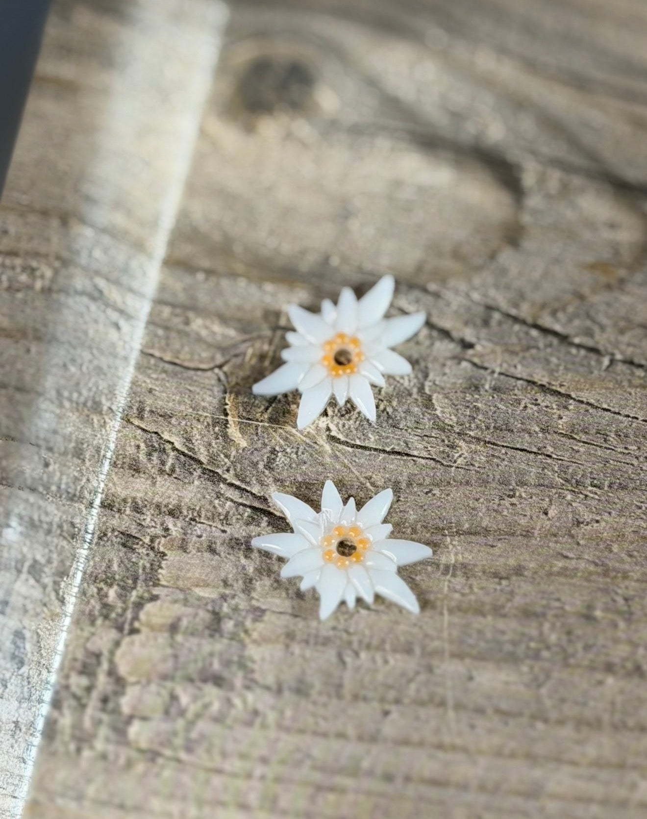 Moule Fleur Edelweiss