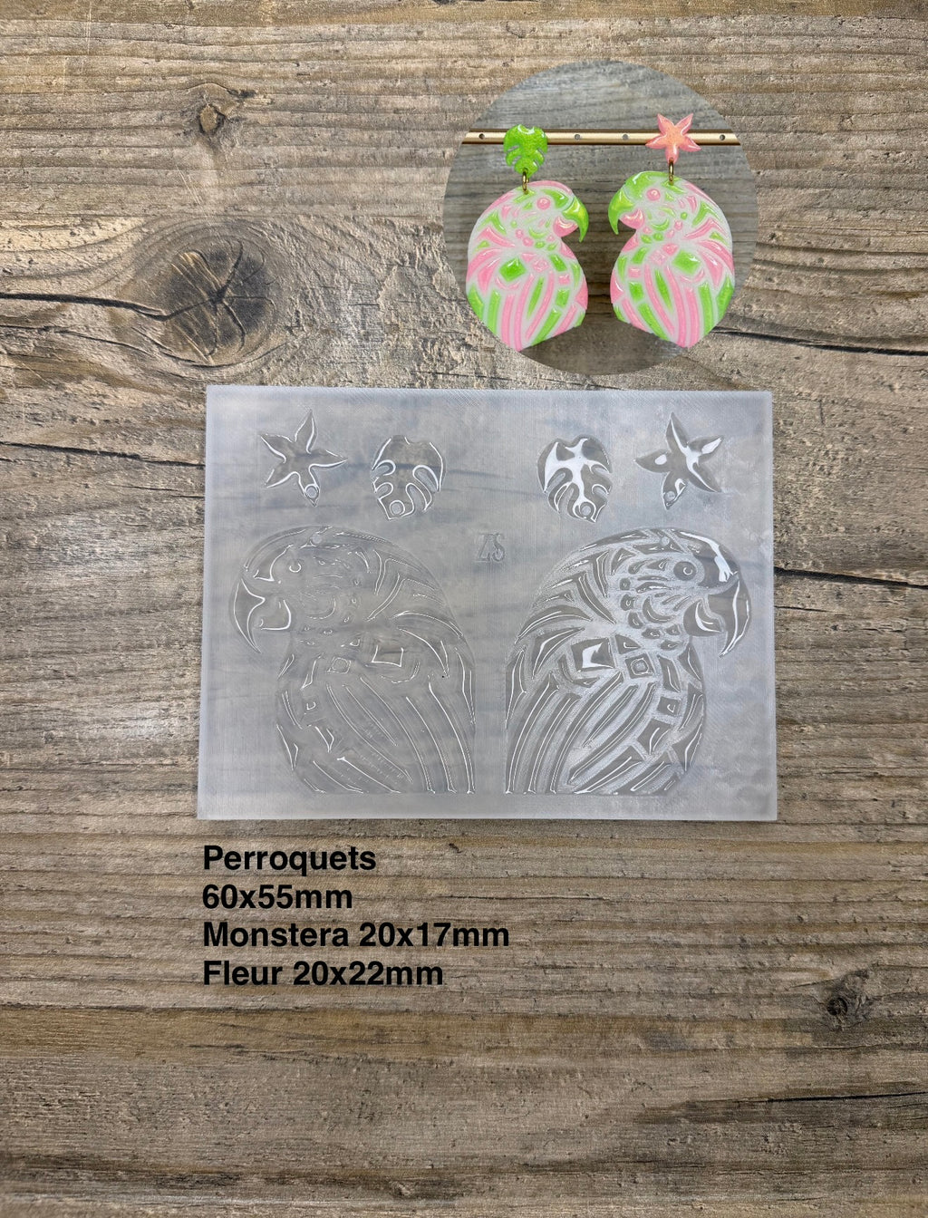 Moule Perroquet